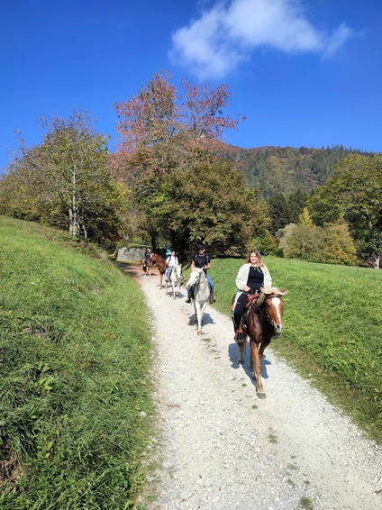 Passeggiata a Cavallo nelle Dolomiti di Brenta: Sentieri e Dolce Merenda in Rifugio 8